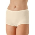thumbnail image 1 of Shadowline Lingerie by Velrose Panties-Nylon Modern Brief, 3-Pack 17642/17642X-3PK, 1 of 4