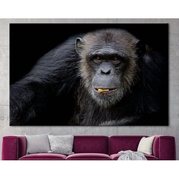 Velto Chimpanzee Portrait, Animal Canvas Art, Monkey Cute Chimpanzee Chimpanzee Old Chimpanzee Canvas, 8x10 0.75-Inch Pine Wood Frame