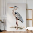 thumbnail image 1 of Velto Graceful Heron Art, Coastal Bird, Blue Heron Decor, Nature-Inspired Bird Lover Gift, Elegant Heron Canvas, 12x18 UNFRAMED, 1 of 4