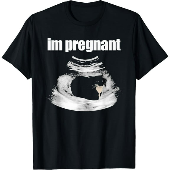 Velto I’m Pregnant Cat Cat Mom Pregnancy Black Kitten T-Shirt All Size S-5XL