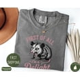 thumbnail image 1 of Velto I’m a Delight T-shirt, Retro Possum Vintage Graphic Apparel, Playful Statement Outfit, Aesthetic Casual Clothing for Women Fullsize S-5XL Shirt, 1 of 5