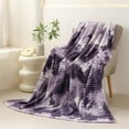 thumbnail image 1 of Velvet Blanket Nap Blanket, DELESYS Fuzzy Throw Blanket for Couch Fleece Blanket Soft Cozy Plush Blanket 3D Ribbed Twin Blanket, 100x150cm, 1 of 6