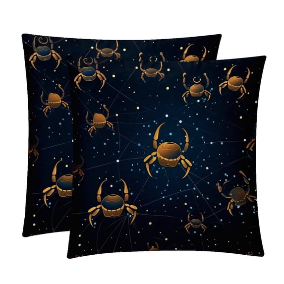 Velvet Decorative Throw Pillow Covers - Set of 2, Unique Patterns, 16x16, 18x18, 20x20 Inches for Home Decor & Gifts