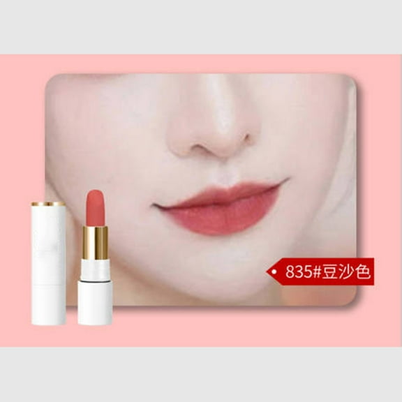 Velvet Matte Lipstick, Waterproof Smudge Proof for Women Lip Stick, High Pigmented Long-Lasting Lip Stick, 24 Hours Original Lip Stick Stain Makeup (Dusty Rose)
