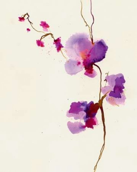Velvet Orchid Canvas Art - Summer Thornton (24 x 30)