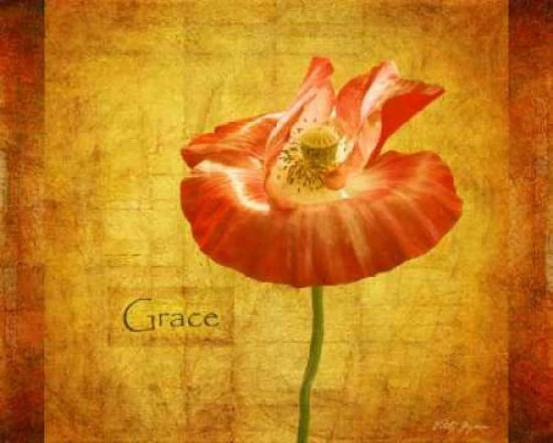 Velvet Poppy Grace Canvas Art - Vitaly Geyman (24 x 30)