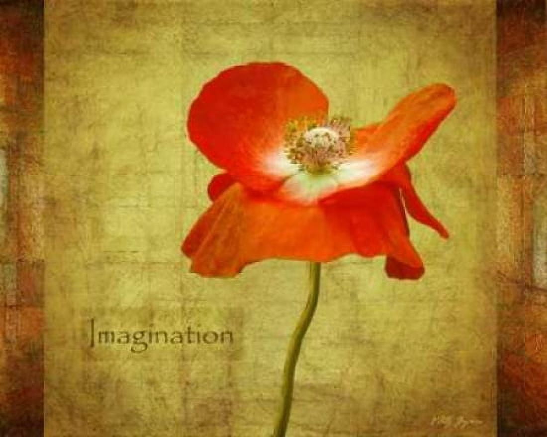 Velvet Poppy Imagination Canvas Art - Vitaly Geyman (24 x 30)