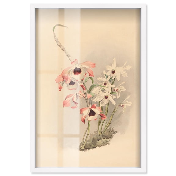 Velvet Throat Shadowbox Print Botanical Art by Art Remedy, White Frame, 10 x 15