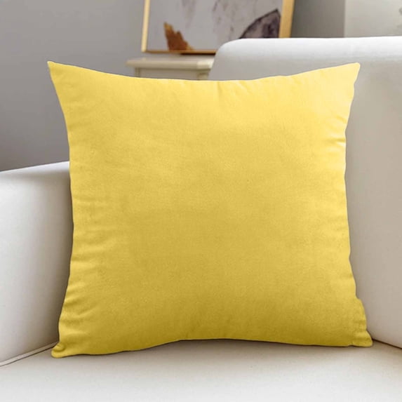 Velvet Throw Pillow Cushion for Sofa Bed Chair Decorative Soft Square