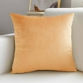 thumbnail image 1 of Velvet Throw Pillow Cushion for Sofa Bed Chair Decorative Soft Square, 1 of 6