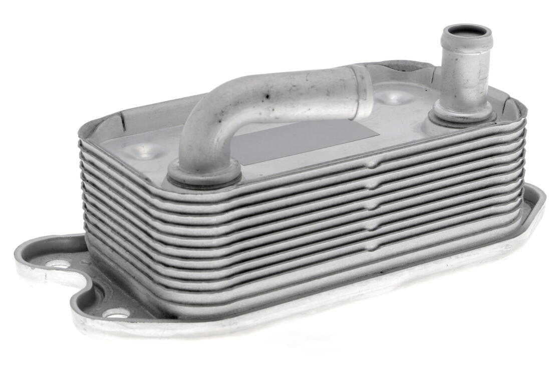 VEMO V95-60-0006 Oil Cooler, engine oil