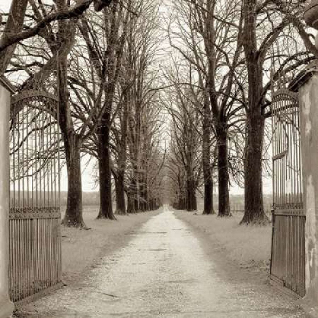 Veneto Giardini - 1 Canvas Art - Alan Blaustein (24 x 24)