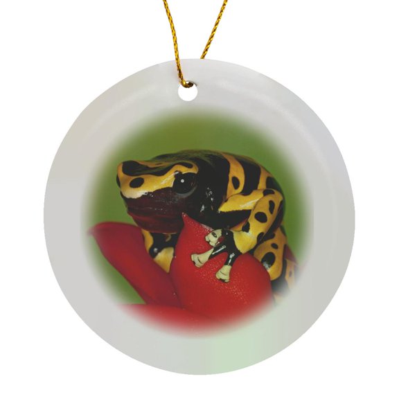 3drose, Venezuela. Orange-banded Poison Dart Frog - Sa20 Bja0001 - Jaynes Gallery, Circle Porcelain Ornament