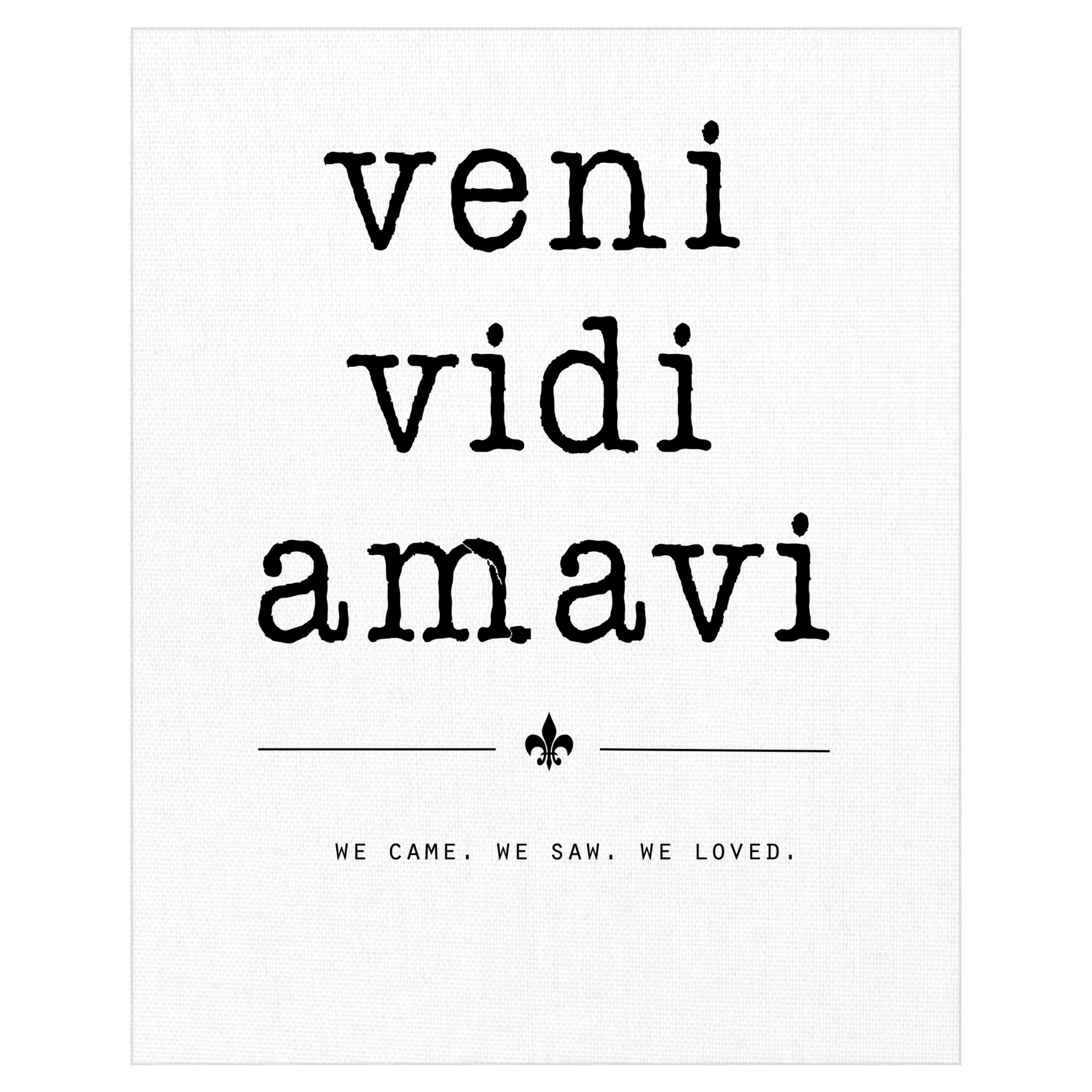 Veni Vidi Amavi by Jan Weiss Wrapped Canvas Art Print
