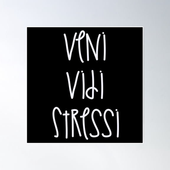 Veni Vidi Stressi Poster Wall Art, Modern Wall Decor, 24x24 UNFRAMED