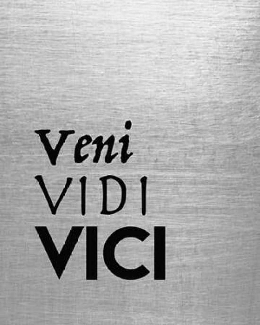 Veni Vidi Vici Canvas Art - Tara Moss (24 x 30)