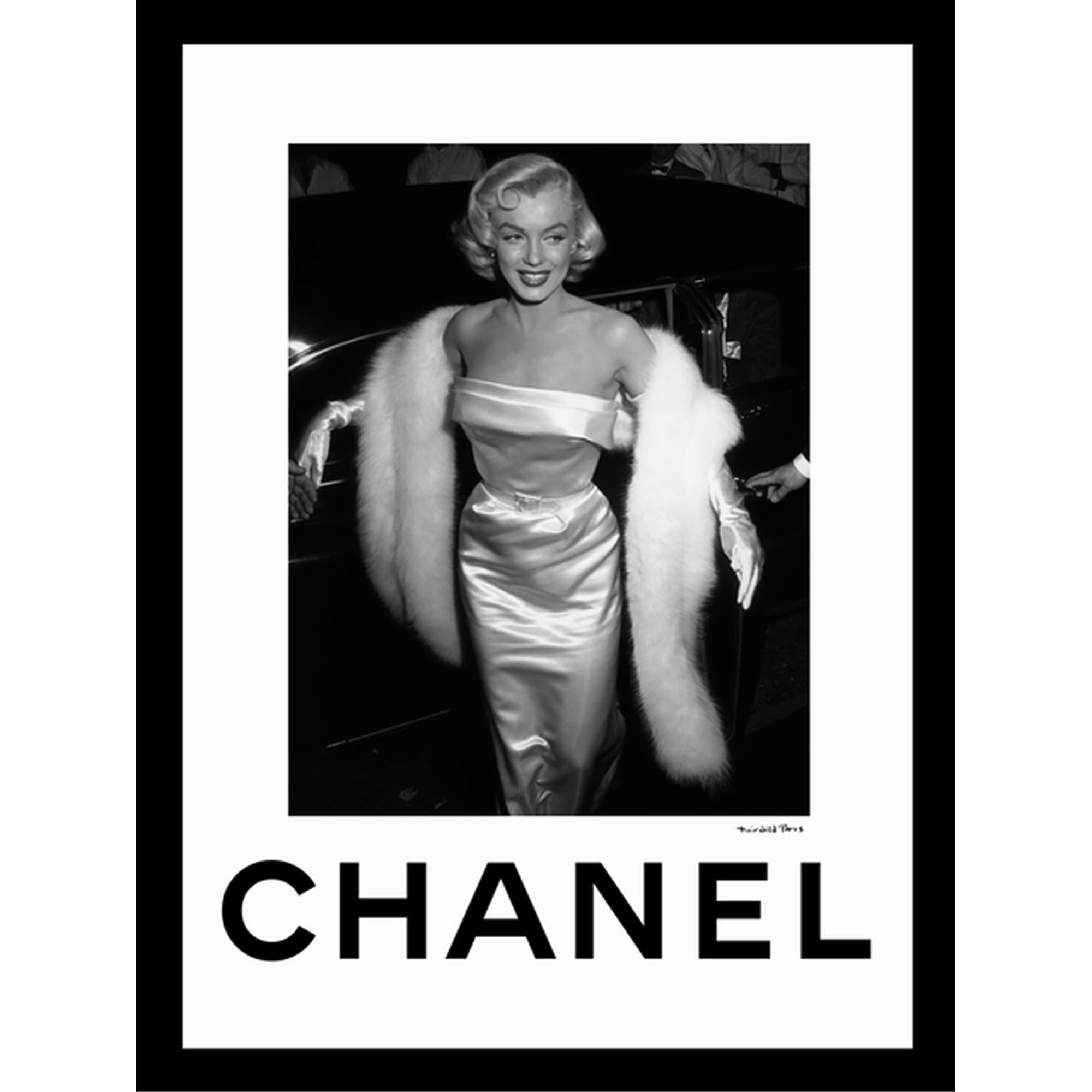 Venice Beach Collection's Glamorous Marilyn in Fur 14x18 Framed Print