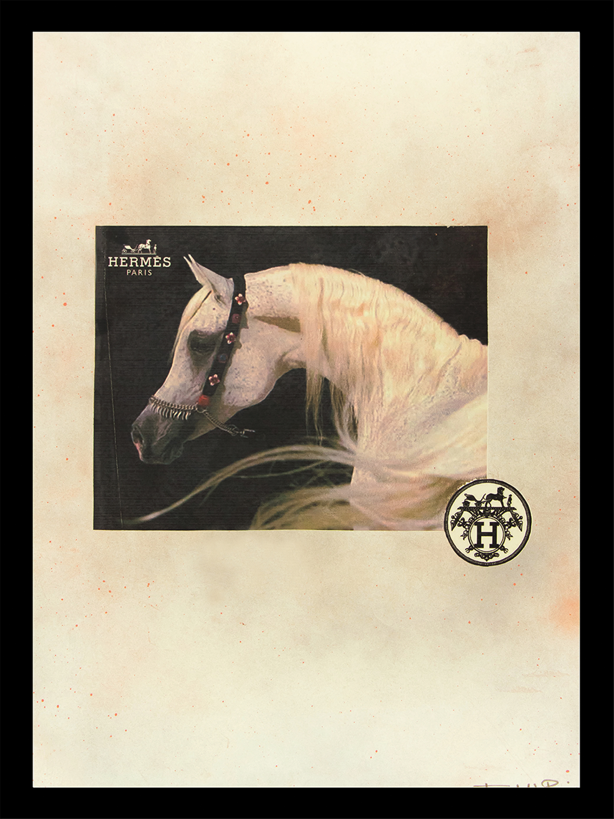 Venice Beach Collection's Gorgeous Fashion White Horse 14x18 Framed Print