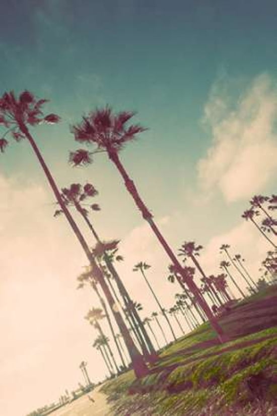 Venice Beach Fun Canvas Art - Emily Navas (20X28)