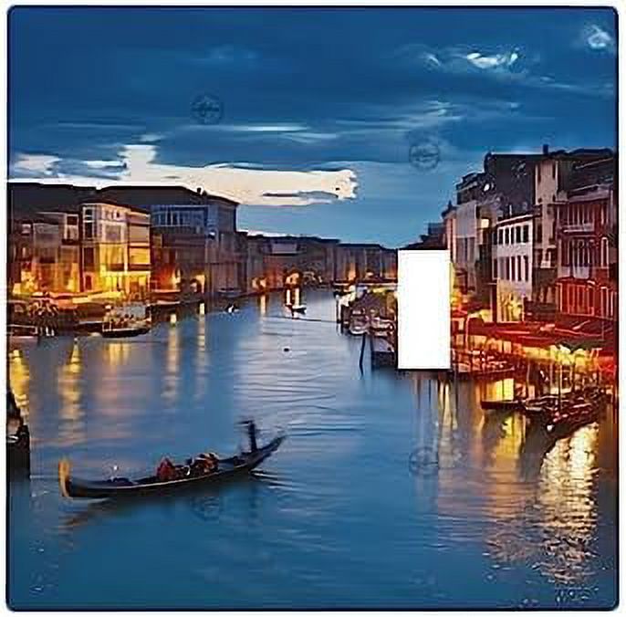 Venice Night Wall Plate Cover 2Gang Wall Plate Single Gang Light