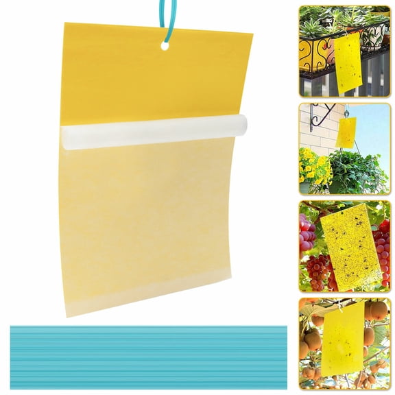 Venoro 60 PCS Sticky Fly Traps Gnat Trap Flies Insect Glue Catcher w/ Hanging Ropes