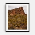 thumbnail image 1 of Ventana Canyon Cacti - Catalina Foothills Arizona Photography Desert Cactus Landscape Nature Scenic Wilderness Mountain Black Framed Wall Art Print 18 x 24 inches, 1 of 4