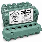 Vented Paper Pulp Egg Cartons - Teal (12-Pack)