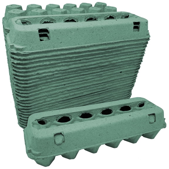 Vented Paper Pulp Egg Cartons - Teal (24-Pack)