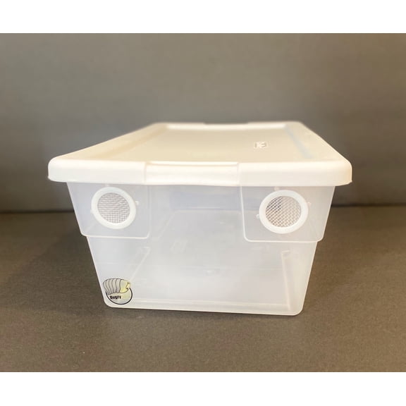 BugzyBugs Vivarium Reptiles & Isopods 6 Quart Terrarium with Vents, 13.62L x 8.25W x 4.88H