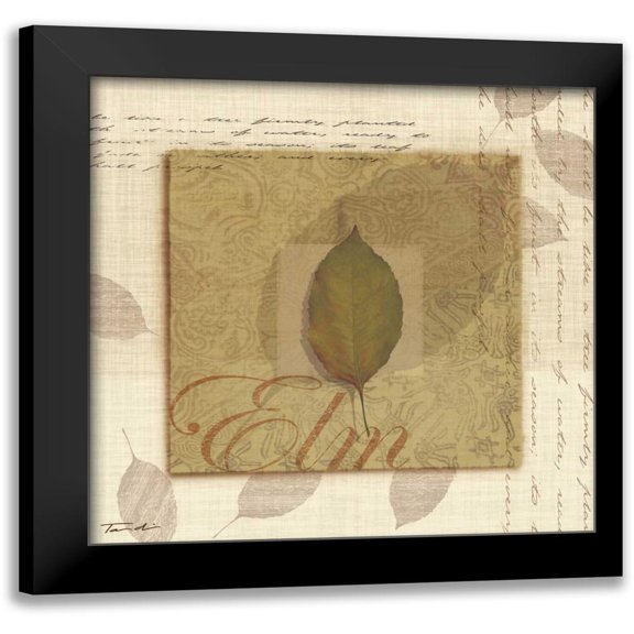Venter, Tandi 12x12 Black Modern Framed Museum Art Print Titled - Elm