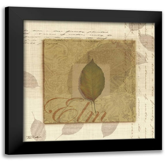 Venter, Tandi 20x20 Black Modern Framed Museum Art Print Titled - Elm