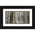 thumbnail image 1 of Venter, Tandi 24x14 Black Ornate Wood Framed with Double Matting Museum Art Print Titled - Silver Lining, 1 of 4