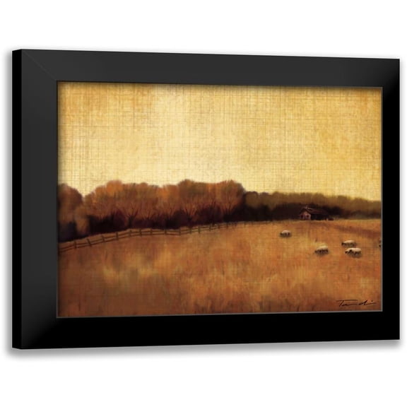 Venter, Tandi 24x20 Black Modern Framed Museum Art Print Titled - Open Range II