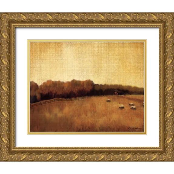 Venter, Tandi 24x20 Gold Ornate Wood Framed with Double Matting Museum Art Print Titled - Open Range II