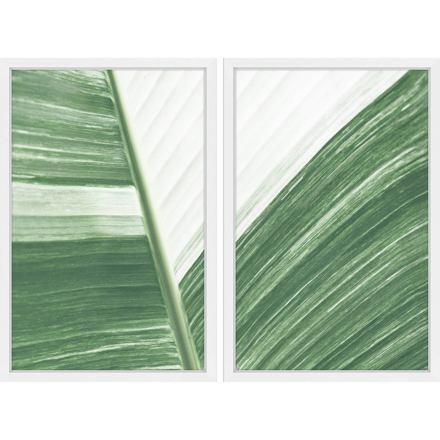 Ventura Diptych