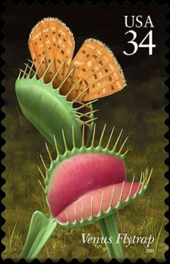 Venus Flytrap Canvas Art - US POSTAL SERVICE (24 x 36)