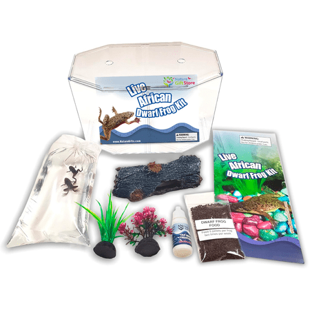 African Dwarf Frog Habitat Kit – Includes Free Frog Voucher, Food, Plants & Complete Aquarium Setup