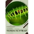 thumbnail image 1 of Venus Flytrap: Plant Guide, 1 of 1