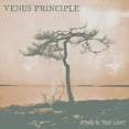 thumbnail image 1 of Venus Principle - Stand In Your Light - Music & Performance - CD, 1 of 1