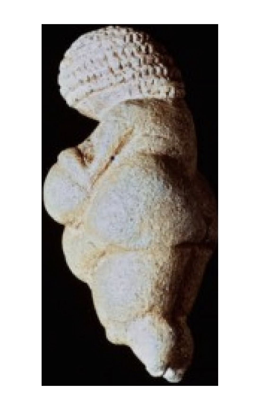 Venus of Willendorf 25000-30000 BCE Prehistoric Art Limestone Kunsthistorisches Museum Vienna Austria Canvas Art - (18 x 24)