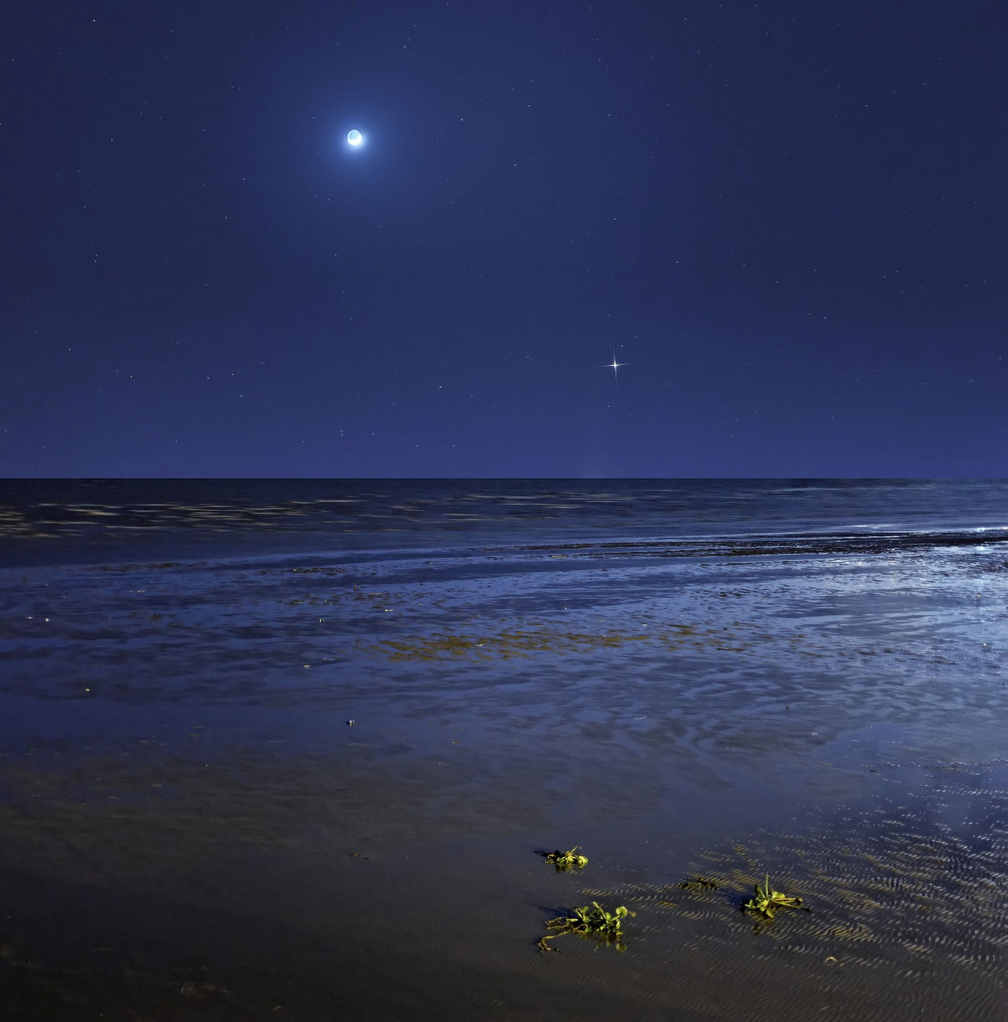 Venus shines brightly below the crescent Moon from coast of Buenos Aires Argentina Canvas Art - Luis ArgerichStocktrek Images (28 x 29)