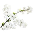 thumbnail image 1 of VerPetridure Cherry Blossom Branches, Artificial White Cherry Blossom Flower Faux White Cherry Blossom Fake Cherry Blossom Tree Stems Faux Cherry Flowers Vase for Wedding Home Decor, 1 of 4