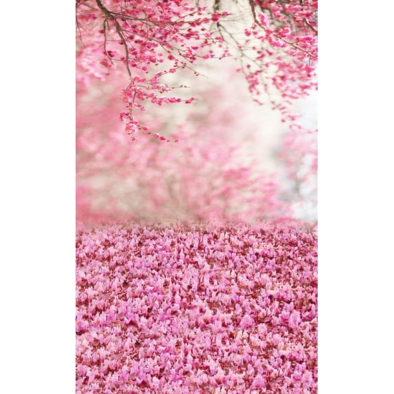 VerPetridure Dreamlike Vinyl Wall Floor Photography Studio Prop Background 3x5FT B