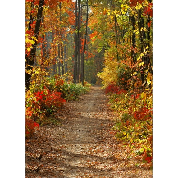 VerPetridure Dreamlike Vinyl Wall Floor Photography Studio Prop Background 3x5FT C