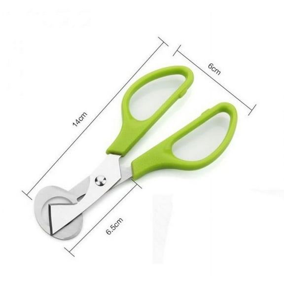 VerPetridure Green Stainless Steel Egg Shears Green Stainless Steel Egg Shearspigeon Quail Egg Scissors Cracker Opener Cigar Cutter Stainless Steel tool