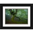 thumbnail image 1 of Vera, Urtzi 14x11 Black Ornate Wood Framed with Double Matting Museum Art Print Titled - Spring, 1 of 4