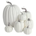 thumbnail image 1 of VeraNest Artificial Pumpkins,7Pcs Lifelike Diferentt Size Fake Pumpkins Large Faux Pumpkins For Autumn Thanksgiving Harvest Halloween Seasonal Holiday Decor Decoration (White) Halloween Party Favors, 1 of 6