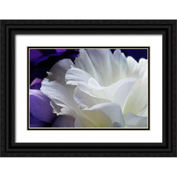 Veralli, Amalia 14x11 Black Ornate Wood Framed with Double Matting Museum Art Print Titled - Lisianthus