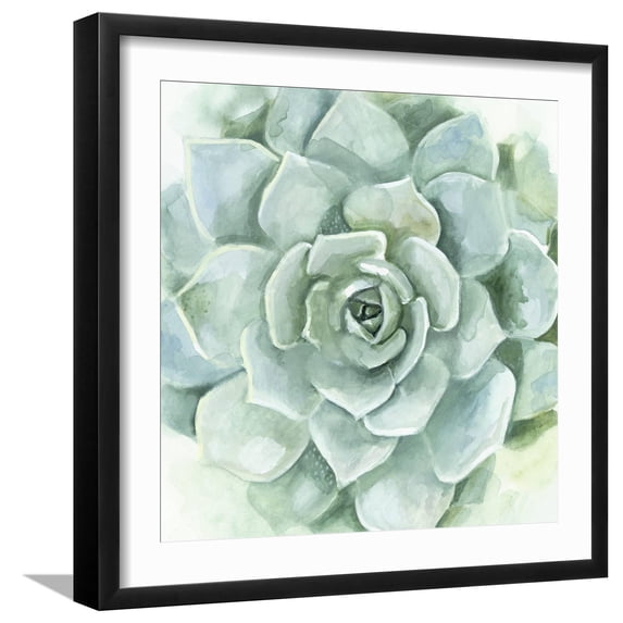Art.com Verdant Succulent I Art Print by Victoria Borges, Black Frame Wall Art, 21" x 21"