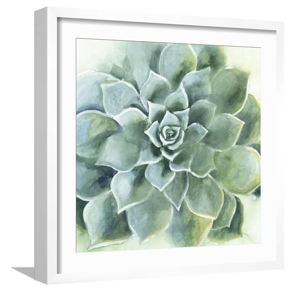 Art.com Verdant Succulent II Art Print by Victoria Borges, White Frame Wall Art, 21" x 21"